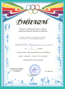 II место по волейболу среди юношей. Борское, 16 ноября 2006 год. ХI сельская спартакиада