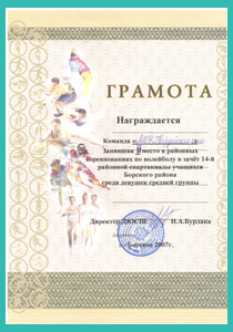 I место по волейболу среди юношей. Борское, 2007 год. ХIV сельская спартакиада